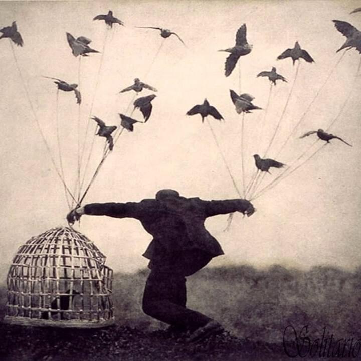 Portada de Volar (Prod. TERROR BEATS)