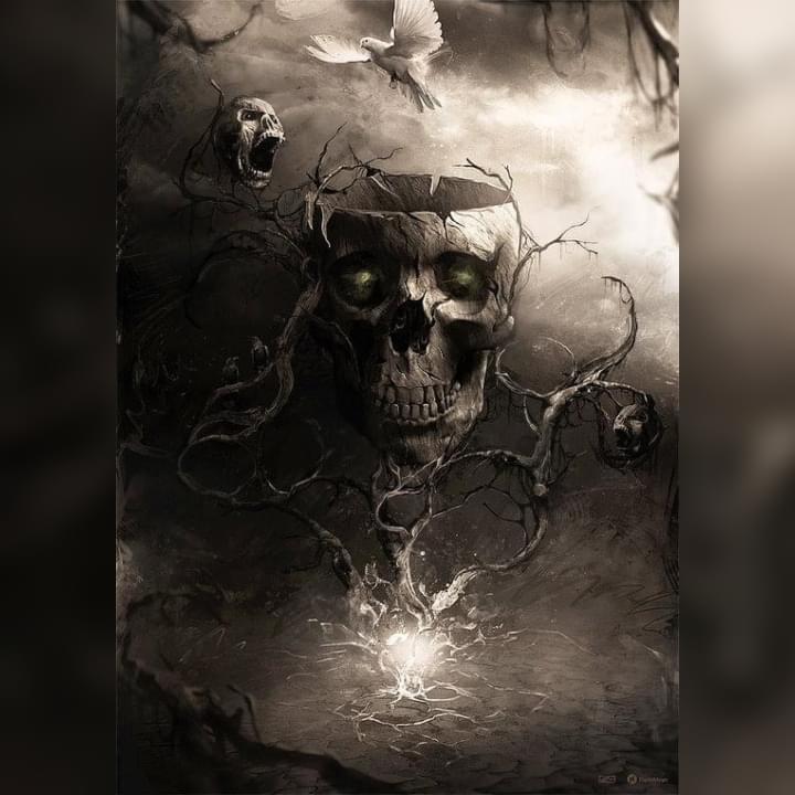 Portada de Último café (INÉDITO)