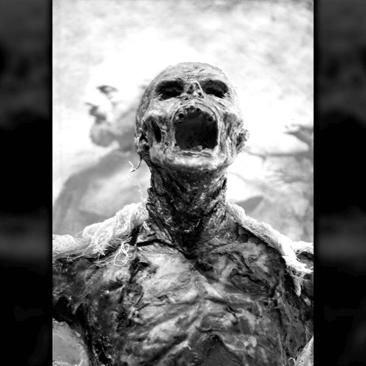 Portada de Por mis muertos